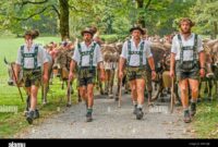 almabtrieb 2026 oberstdorf