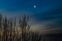 solar eclipse 2026 iceland