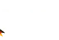 wm quali 2026 ozeanien