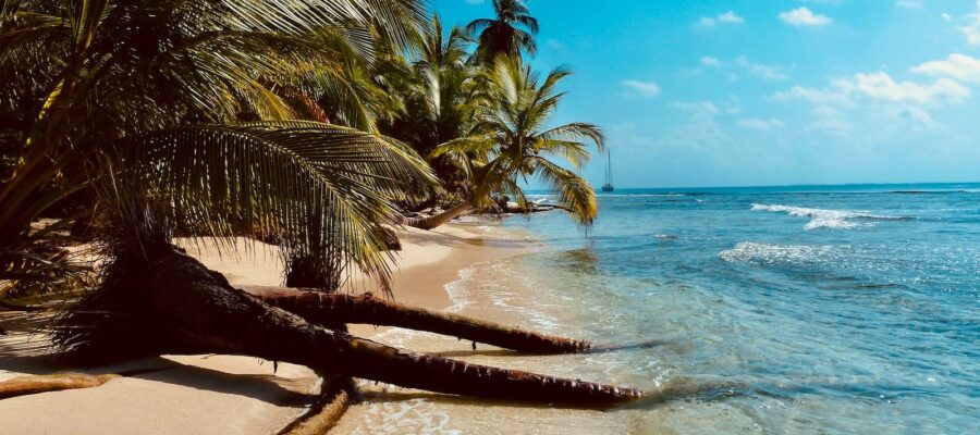  Karibik-Kreuzfahrt: Routen & Angebote 2024/2025 