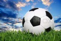 fussball wm 2026 finale stadion