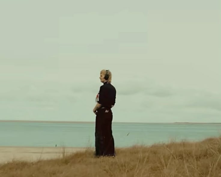  Pin van valosiaa Illustration 