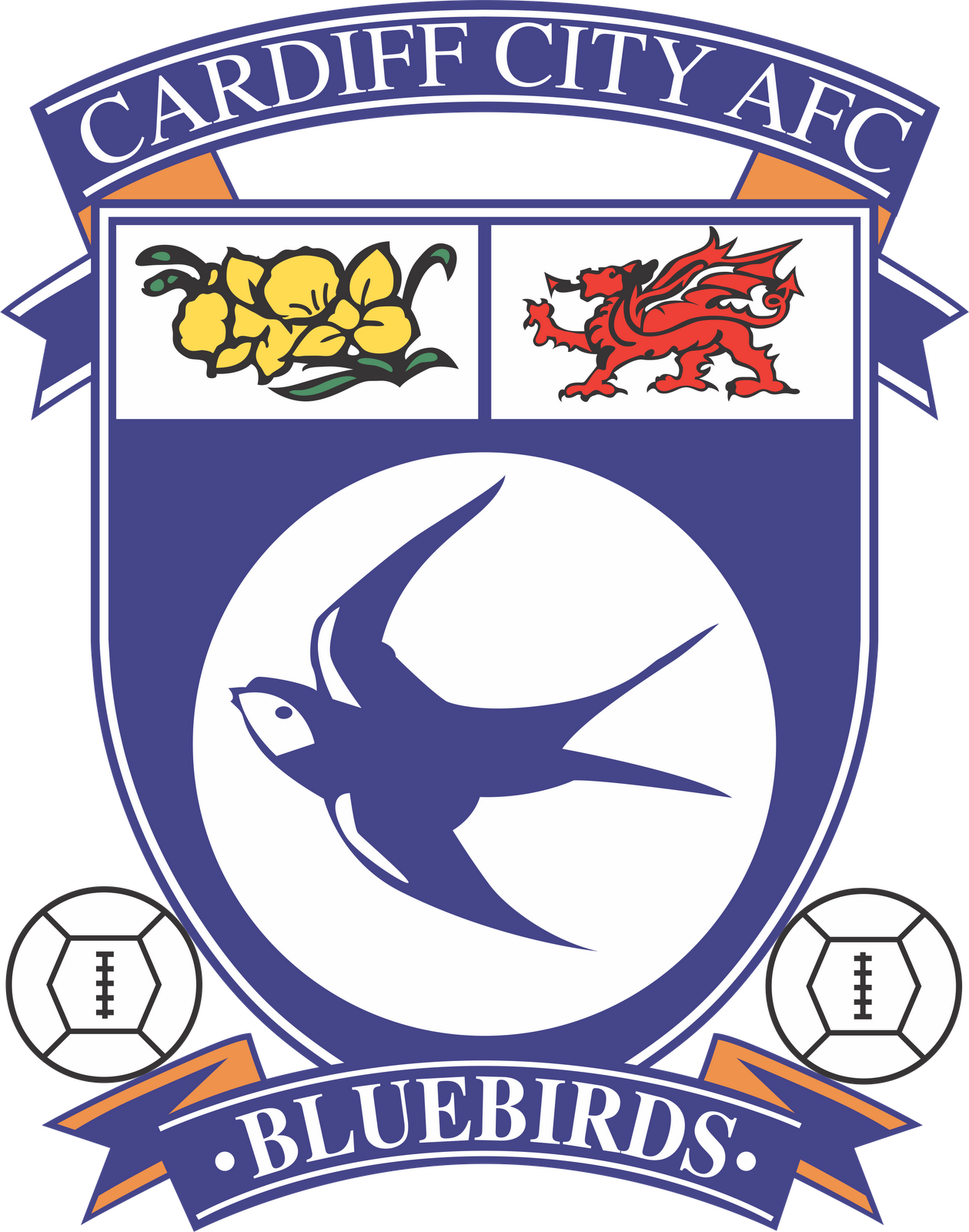  Cardiff City FC Motiv 