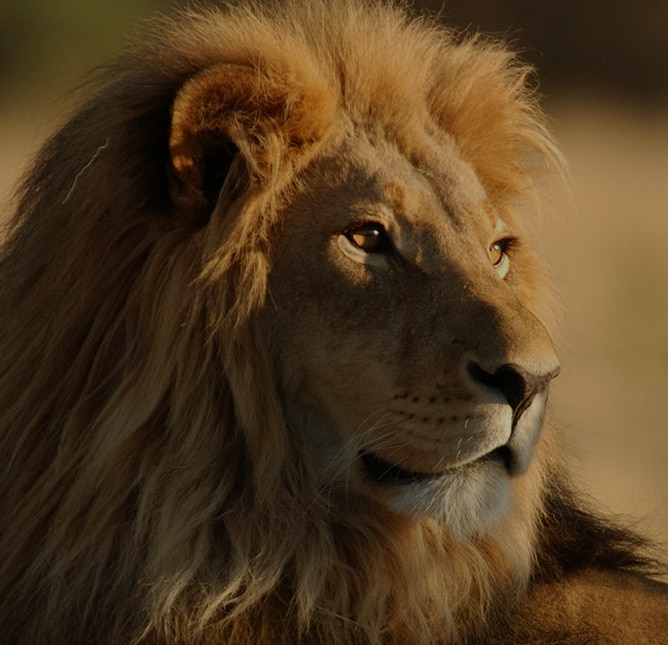  Foto zu 2026 World Cruise - Sense of Adventure 