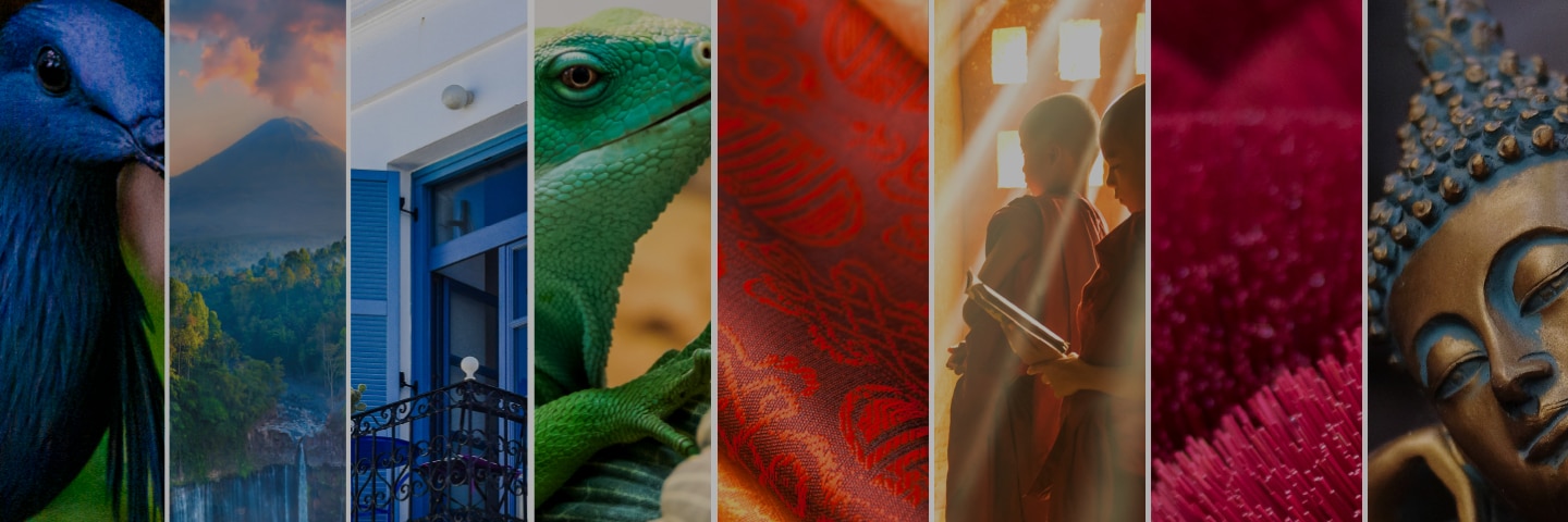  2026-2027 Voyage Collection 