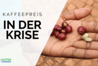 kaffeepreis prognose 2026
