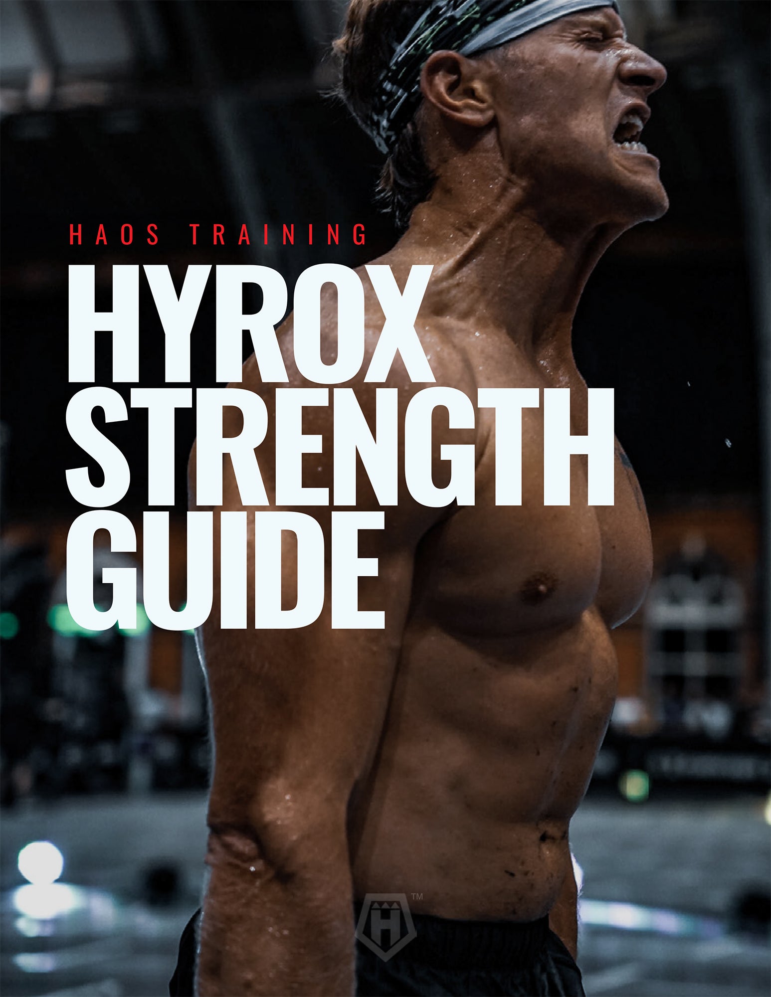  Foto zu HYROX TRAINING PDFs – Hunter's Academy of Strength 