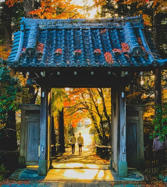  Foto zu 2026 Japan Golf Tour - 11 to 27 October 2026 - Trendsetter 