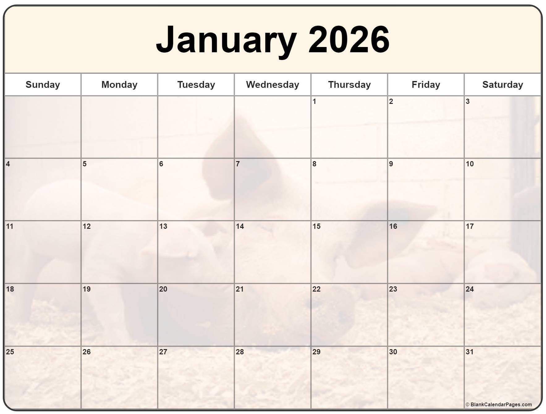  Collection of January 2026 photo calendars with image filters. Bildidee 