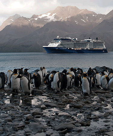  2026 Cruises: Best Cruises in 2026 & 2027 Motiv 