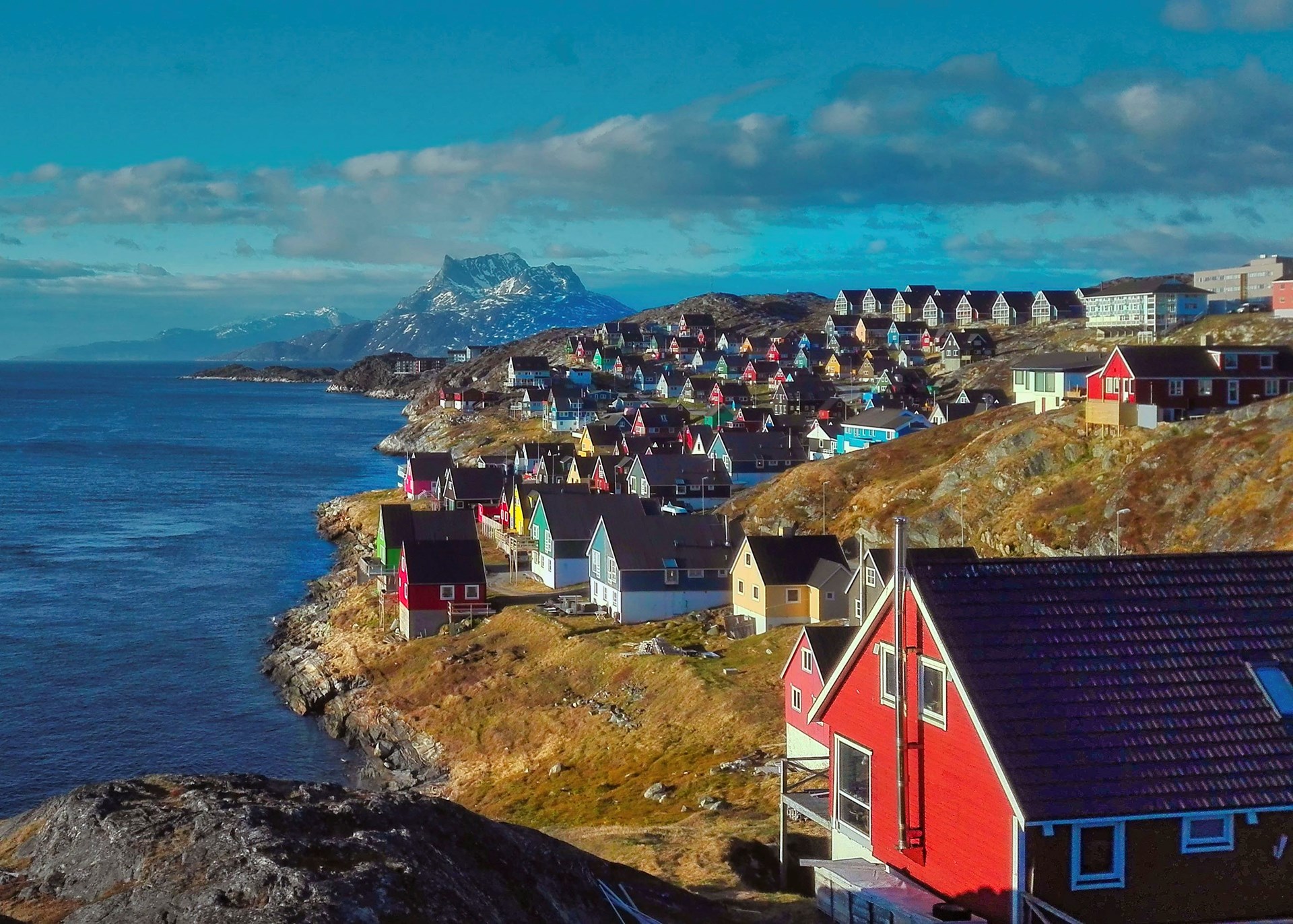  A Regional Guide to Greenland Bildidee 
